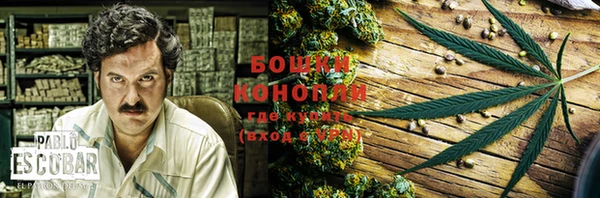 винт Абаза