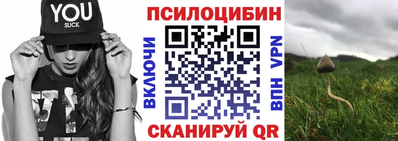 даркнет какой сайт  Котово  Псилоцибиновые грибы Cubensis 